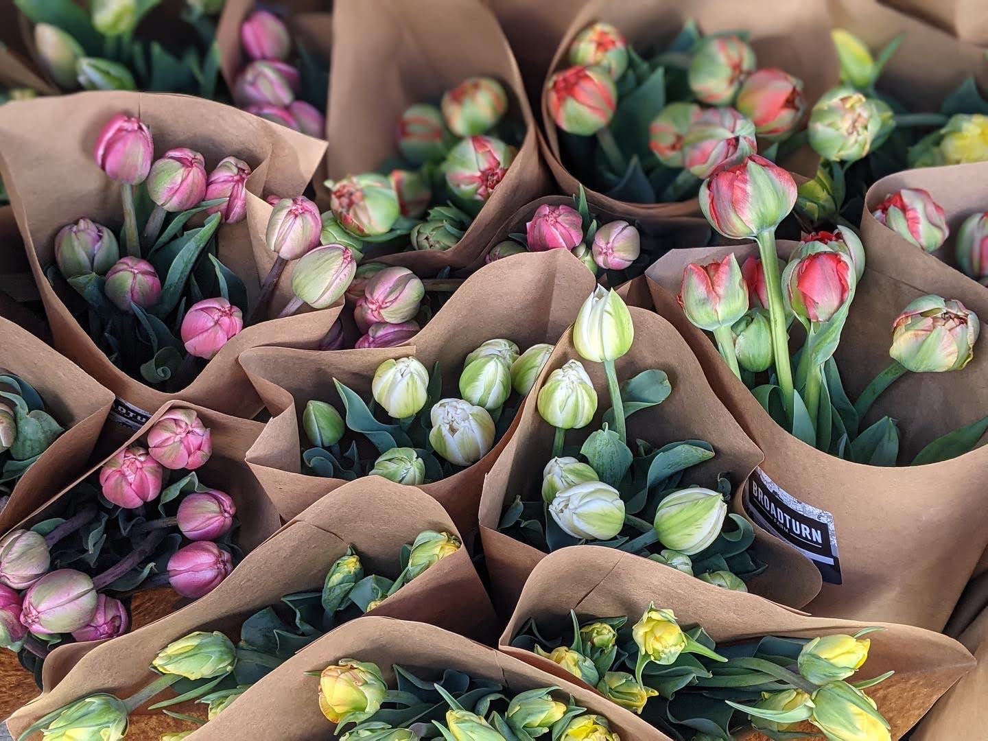 tulip bouquets spring flowers broadturn farm
