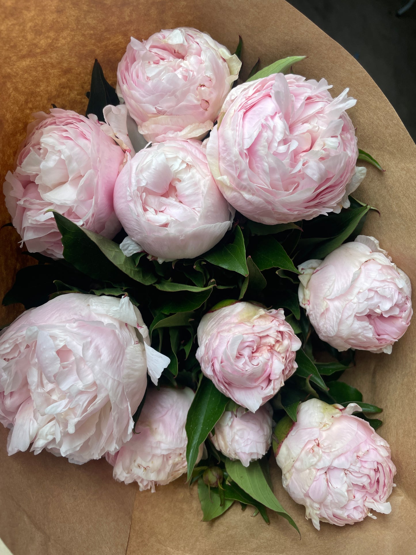 Peony bunch - FRIDAY PICKUP