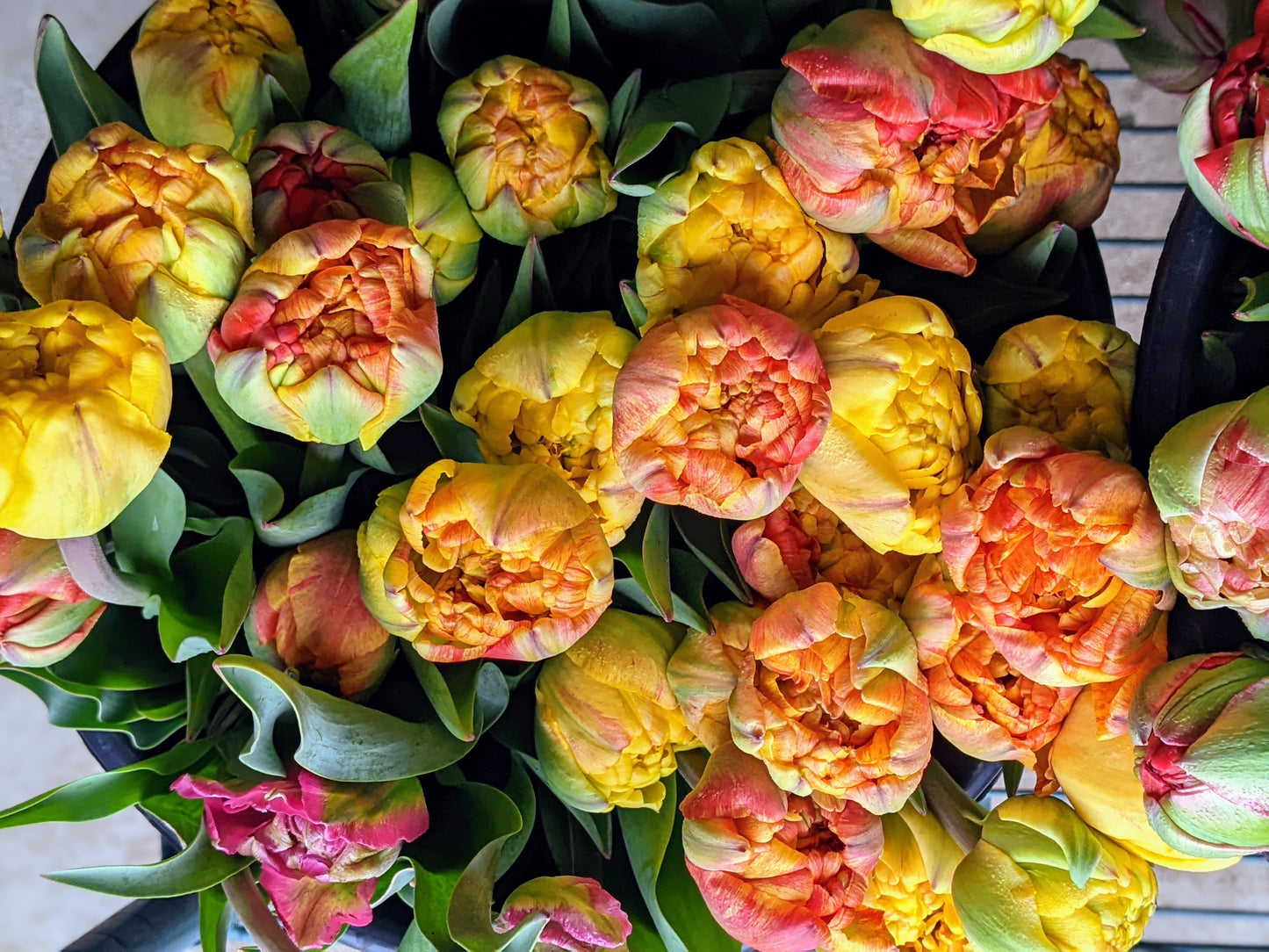 Tulip Bunch - MOTHER'S DAY Pickup