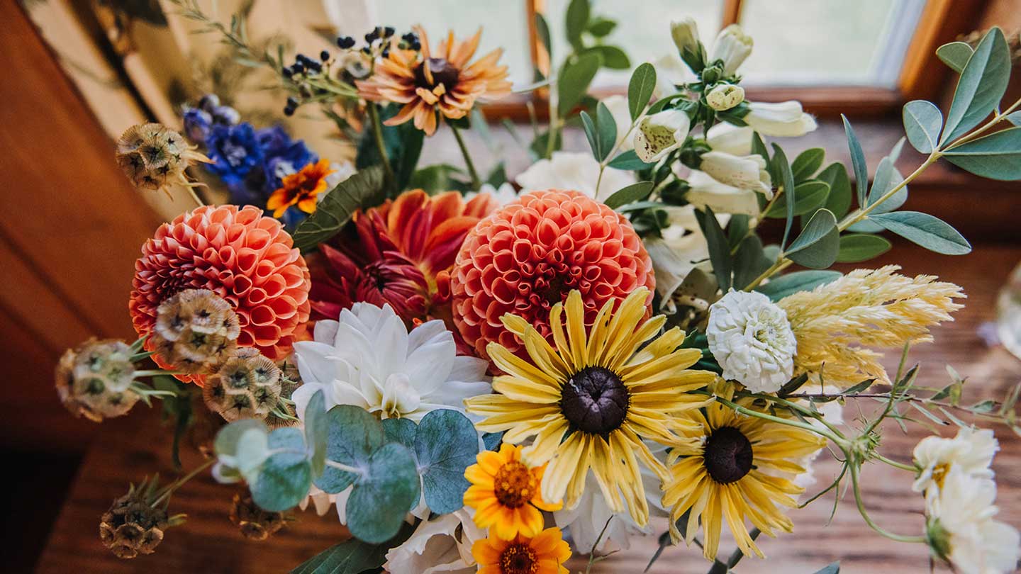 dahlia rudebekia eucalyptus scabiosa broadturn farm flowers