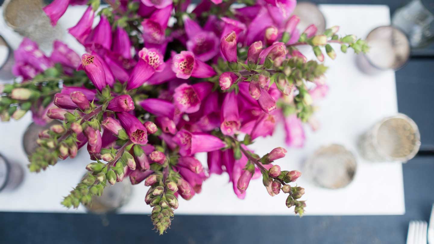 foxglove digitalis wedding single stem flowers broadturn farm