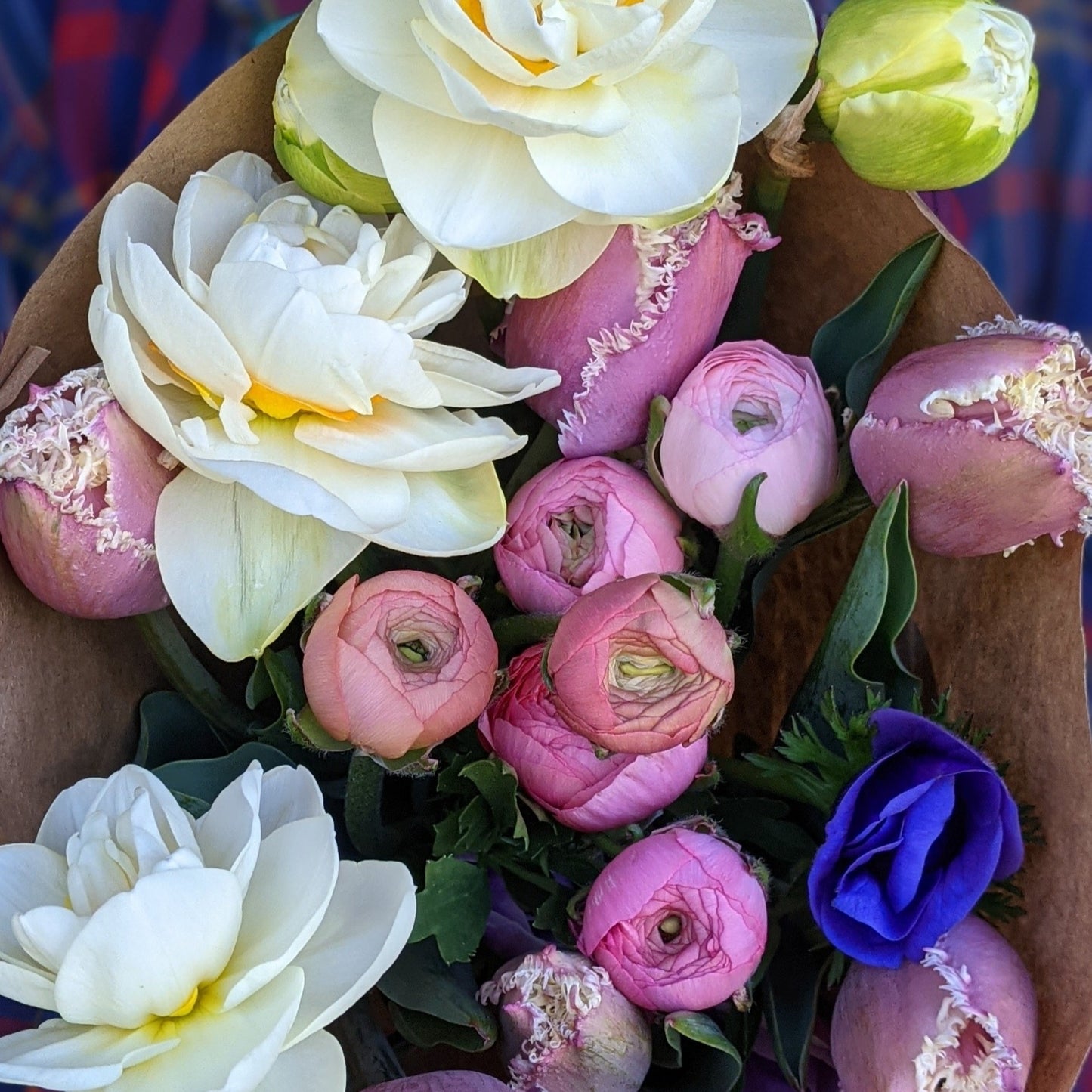 Spring Bloom CSA (5 weeks)