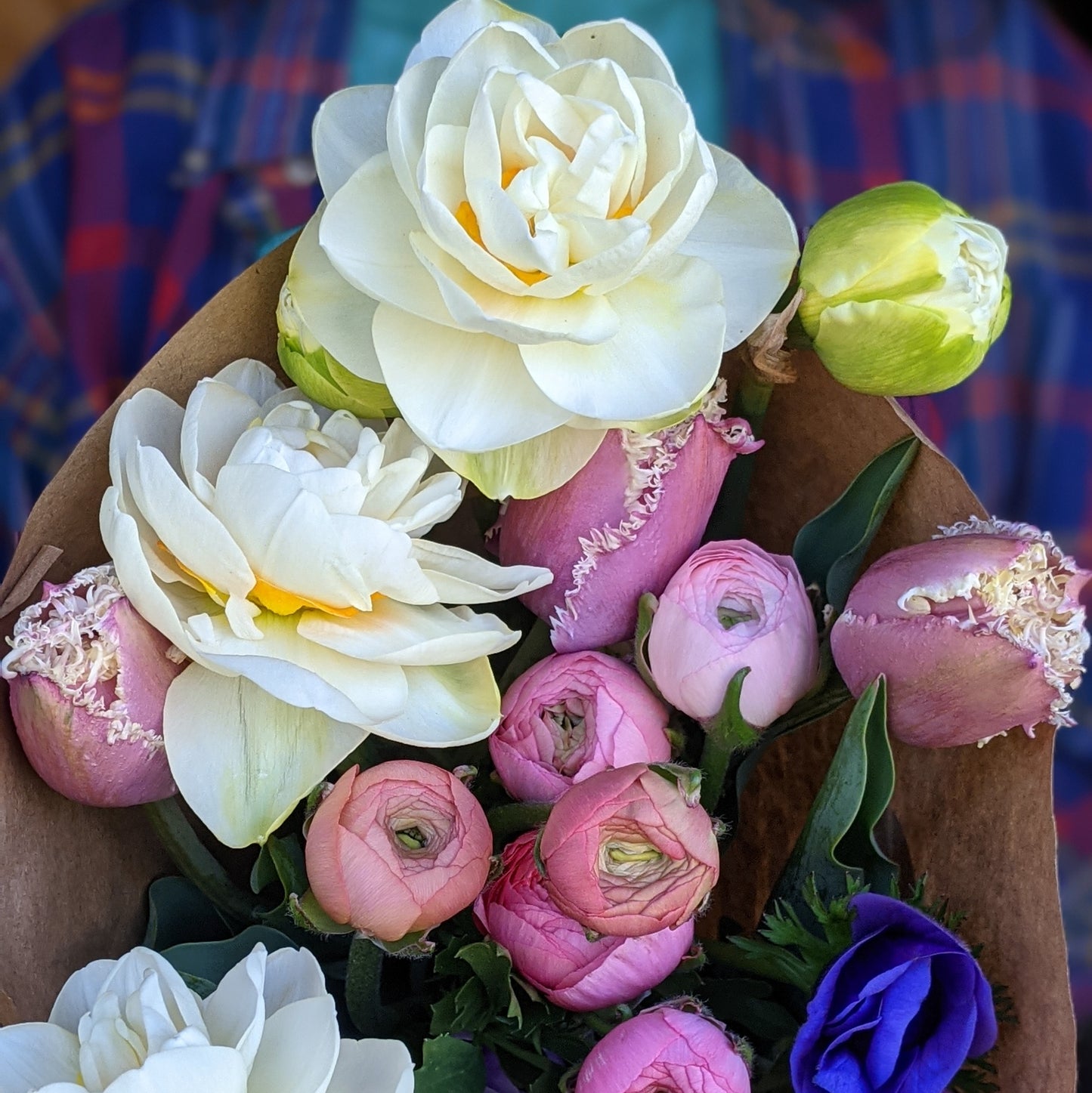 Mixed Bouquet -  FRIDAY PICKUP