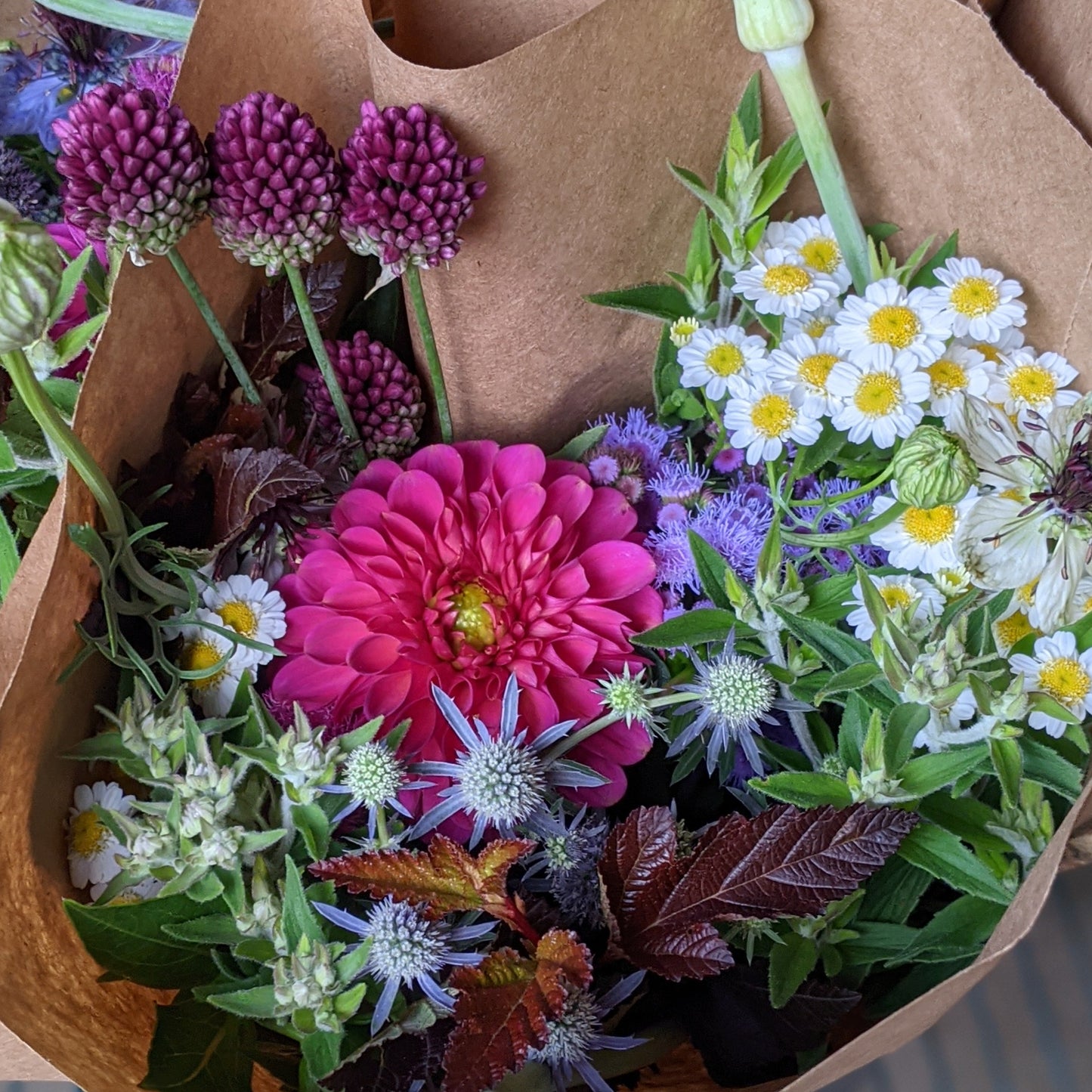 Peak Season CSA (8 weeks)
