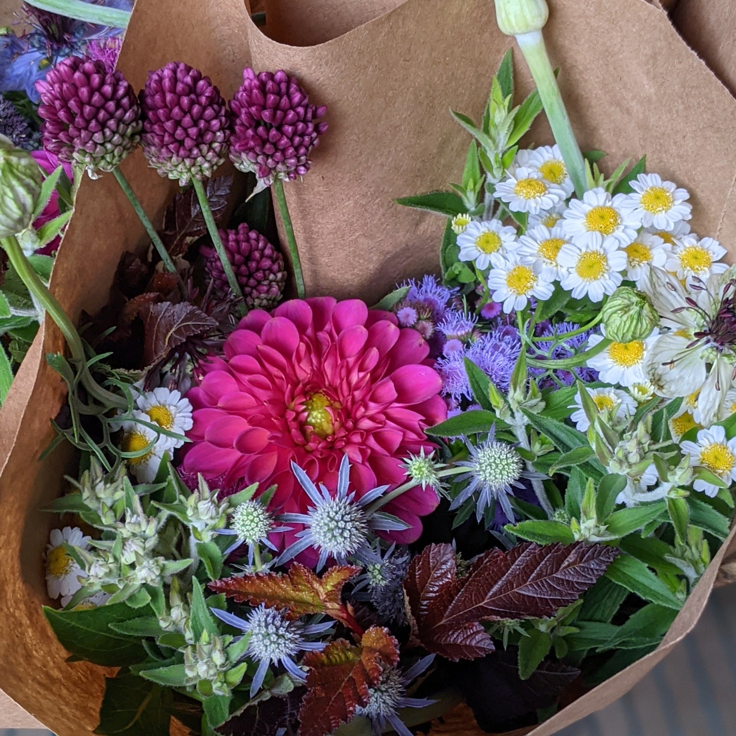 Peak Season CSA (5 weeks)