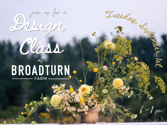 Design Class with Angela - Tuesday 09/01 at 6pm
