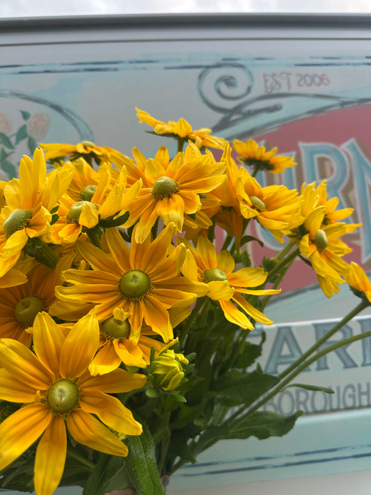 Pick Your Own Flowers - Friday 8/14