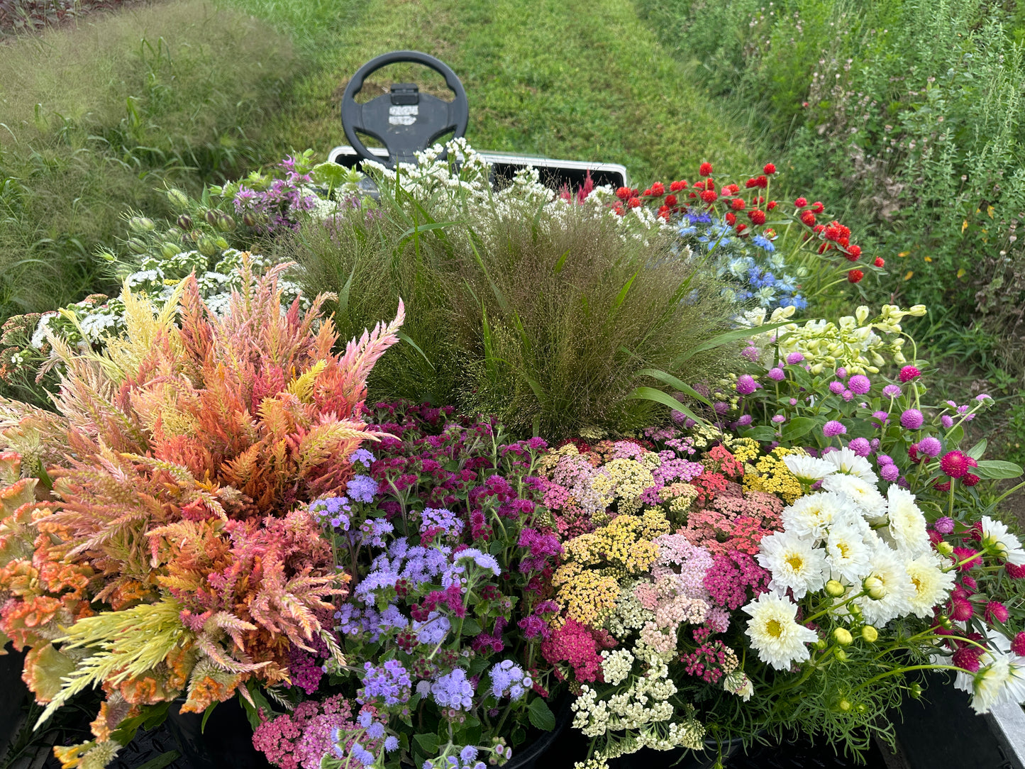 Pick Your Own Flowers - Friday 8/14