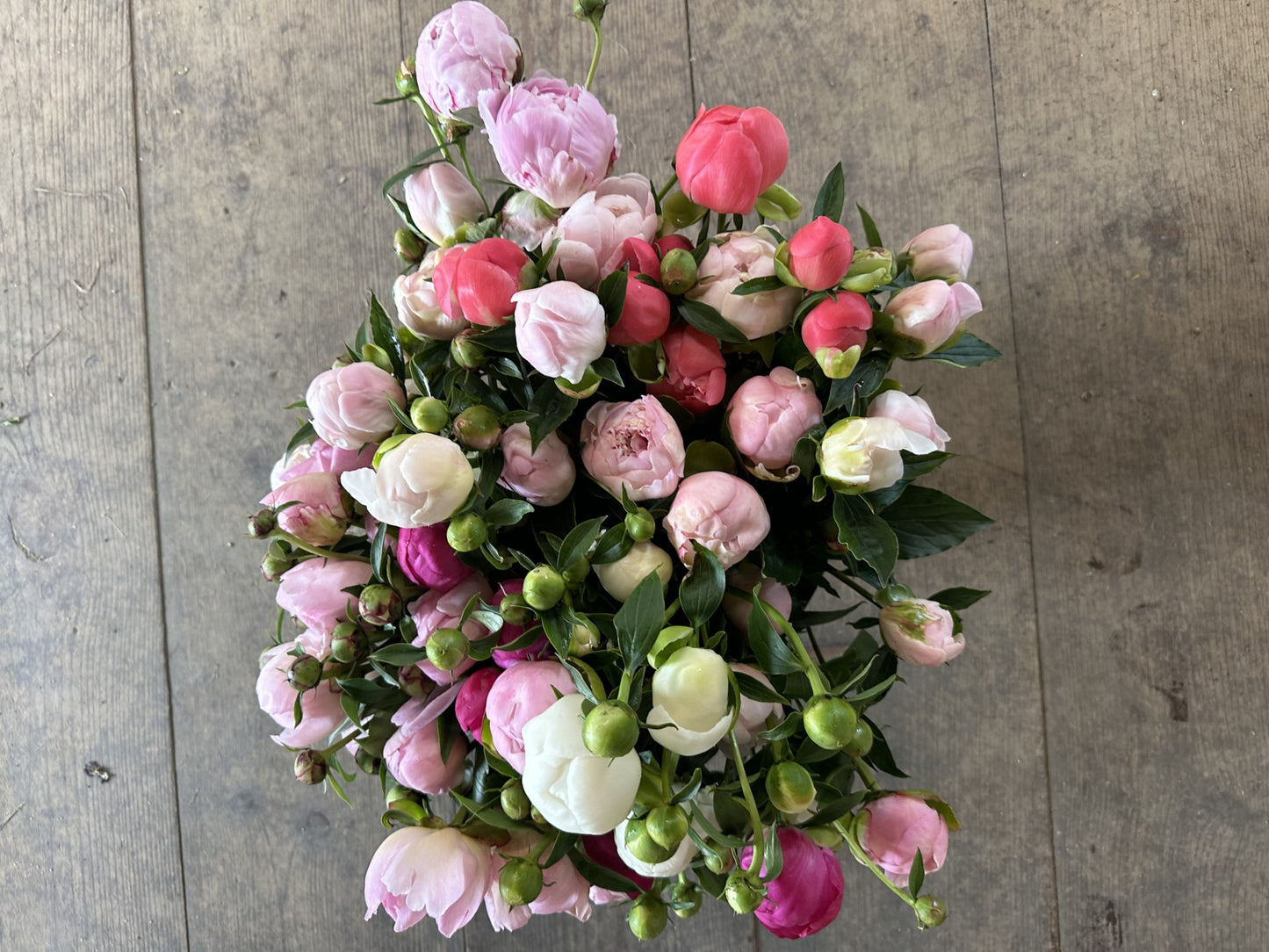 Peony Bucket - FRIDAY PICKUP