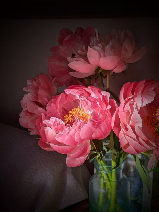 Peony bunch - FRIDAY PICKUP