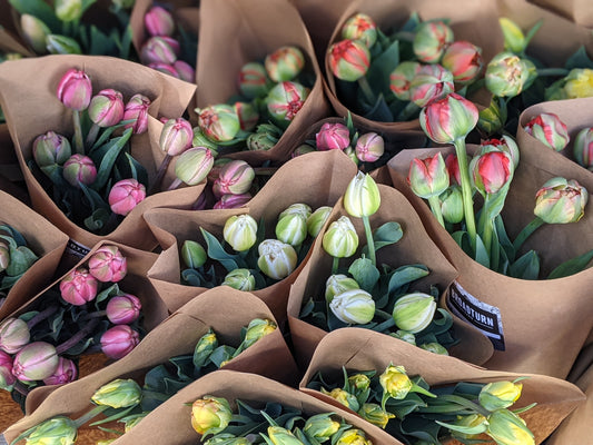 Tulip Bunch - FRIDAY PICKUP